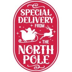 Special delivery from the north pole