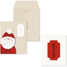 Gift Wide Envelope Santa
