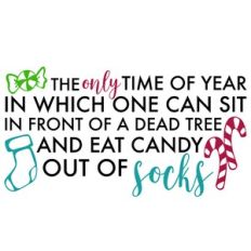The Only Time of the year quote