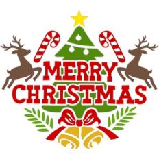merry christmas ornaments phrase