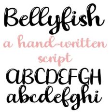 PN Bellyfish Bright