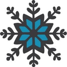 Snowflake