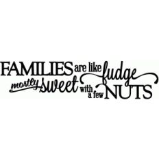 families are like fudge (horizontal) - vinyl phrase