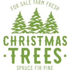 Christmas Trees