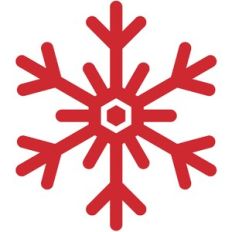 Snowflake