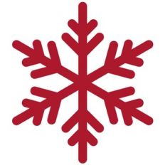 Snowflake