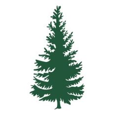 Evergreen Tree