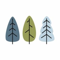 Winter Trees