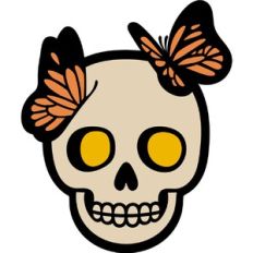 butterfly  skull face