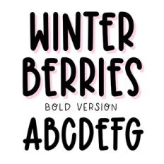 BFC Winter Berries Bold Cute Christmas Handwriting Font