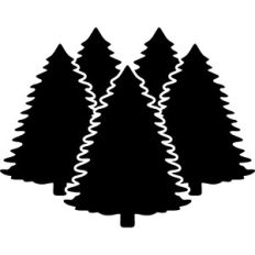pines tree silhouette