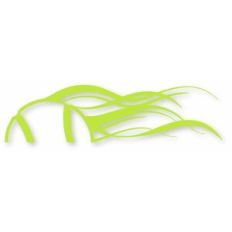 fast tennis flourish