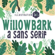 PN Willowbark Bold