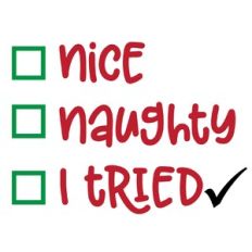Nice Naughty I tried