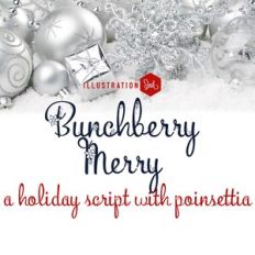 PN Bunchberry Merry
