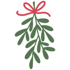 Mistletoe with Bow