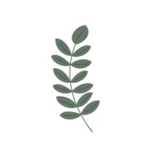 Greenery Leaf