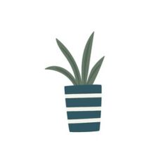 Succulent