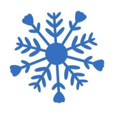 SNOWFLAKES FOR FLOWER CENTER