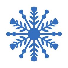 SNOWFLAKES FOR FLOWER CENTER 2
