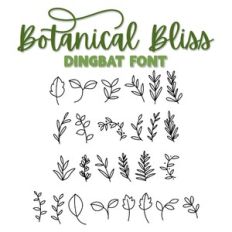 Botanical Bliss Dingbat Font