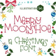 ZP Merry Moonshoe