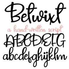ZP Betwixt