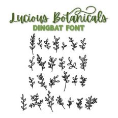 Lucious Botanicals Dingbat Font