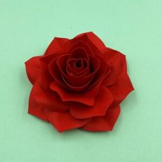 FLOWER 193