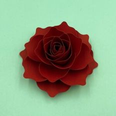 FLOWER 194