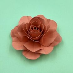 FLOWER 195
