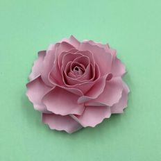 FLOWER 196