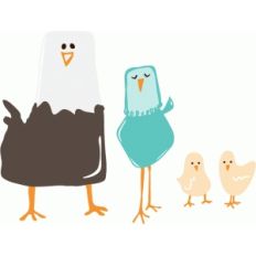 bird family