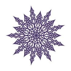 Christmas star