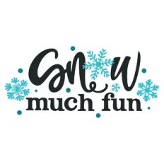 Snow Much Fun