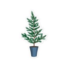 Potted Tree