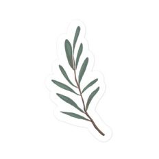 Winter Greenery
