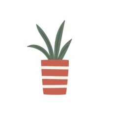 Potted Plant