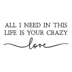 all i need in this life is your crazy love