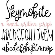 ZP Skymobile Bold