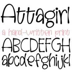ZP Attagirl