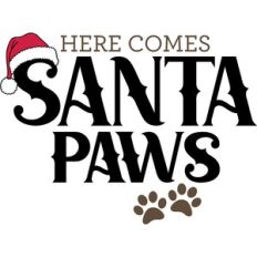 Here comes Santa paws