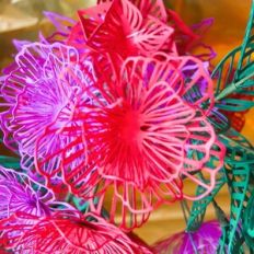 Carmanta Flower