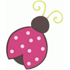 ladybug