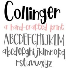PN Collinger