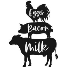 Eggs Bacon Milk