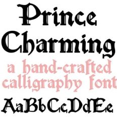 PN Prince Charming
