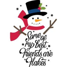 Some of my best friends are flakes