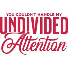 You couldn't handle my undivided attention