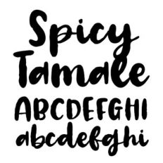 BFC Spicy Tamale Bold Distressed Brush Script Cursive Font